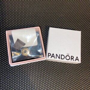 Pandora Charm